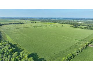 Property photo 54 - LAND AUCTION - 819+/-ACRES OFFERED IN 13 TRACTS IN KNOX COUNTY INDIANA