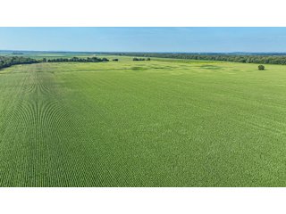 Property photo 53 - LAND AUCTION - 819+/-ACRES OFFERED IN 13 TRACTS IN KNOX COUNTY INDIANA
