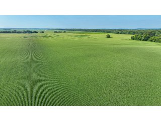 Property photo 52 - LAND AUCTION - 819+/-ACRES OFFERED IN 13 TRACTS IN KNOX COUNTY INDIANA