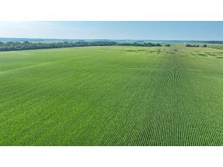 Property photo 43 - LAND AUCTION - 819+/-ACRES OFFERED IN 13 TRACTS IN KNOX COUNTY INDIANA