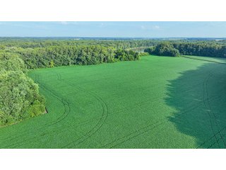 Property photo 47 - LAND AUCTION - 819+/-ACRES OFFERED IN 13 TRACTS IN KNOX COUNTY INDIANA