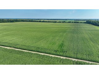 Property photo 46 - LAND AUCTION - 819+/-ACRES OFFERED IN 13 TRACTS IN KNOX COUNTY INDIANA