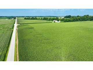 Property photo 44 - LAND AUCTION - 819+/-ACRES OFFERED IN 13 TRACTS IN KNOX COUNTY INDIANA