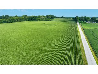 Property photo 33 - LAND AUCTION - 819+/-ACRES OFFERED IN 13 TRACTS IN KNOX COUNTY INDIANA