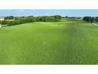 Property photo 51 - LAND AUCTION - 819+/-ACRES OFFERED IN 13 TRACTS IN KNOX COUNTY INDIANA