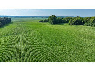 Property photo 18 - LAND AUCTION - 819+/-ACRES OFFERED IN 13 TRACTS IN KNOX COUNTY INDIANA