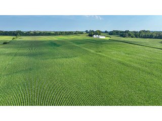 Property photo 15 - LAND AUCTION - 819+/-ACRES OFFERED IN 13 TRACTS IN KNOX COUNTY INDIANA