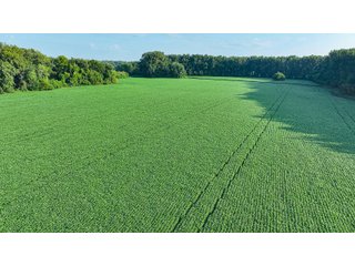 Property photo 14 - LAND AUCTION - 819+/-ACRES OFFERED IN 13 TRACTS IN KNOX COUNTY INDIANA