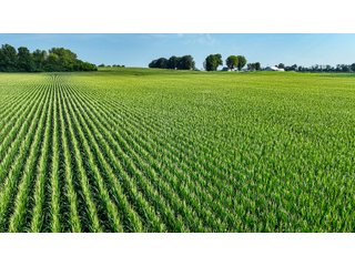 Property photo 13 - LAND AUCTION - 819+/-ACRES OFFERED IN 13 TRACTS IN KNOX COUNTY INDIANA