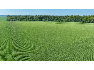 Property photo 10 - LAND AUCTION - 819+/-ACRES OFFERED IN 13 TRACTS IN KNOX COUNTY INDIANA