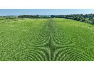 Property photo 5 - LAND AUCTION - 819+/-ACRES OFFERED IN 13 TRACTS IN KNOX COUNTY INDIANA
