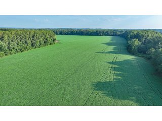 Property photo 4 - LAND AUCTION - 819+/-ACRES OFFERED IN 13 TRACTS IN KNOX COUNTY INDIANA