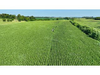 Property photo 32 - LAND AUCTION - 819+/-ACRES OFFERED IN 13 TRACTS IN KNOX COUNTY INDIANA