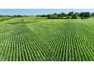 Property photo 31 - LAND AUCTION - 819+/-ACRES OFFERED IN 13 TRACTS IN KNOX COUNTY INDIANA
