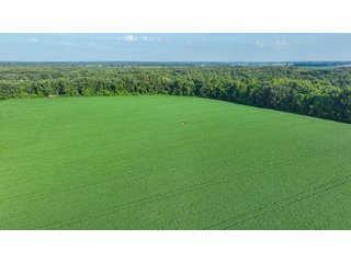 Property photo 30 - LAND AUCTION - 819+/-ACRES OFFERED IN 13 TRACTS IN KNOX COUNTY INDIANA