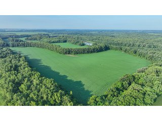 Property photo 29 - LAND AUCTION - 819+/-ACRES OFFERED IN 13 TRACTS IN KNOX COUNTY INDIANA