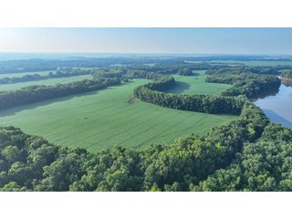 Property photo 27 - LAND AUCTION - 819+/-ACRES OFFERED IN 13 TRACTS IN KNOX COUNTY INDIANA