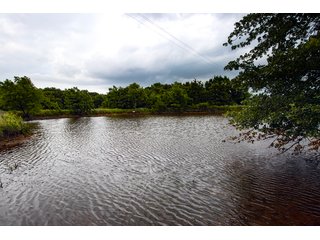Property photo 48 - COURT ORDERED GARVIN COUNTY LAND AUCTION - 153+/- ACRES, OFFERED IN 4 TRACTS - LINDSAY, OK
