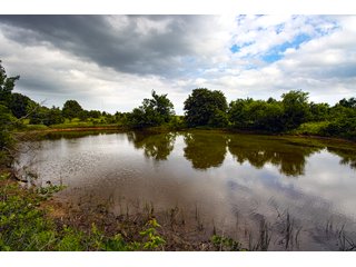 Property photo 16 - COURT ORDERED GARVIN COUNTY LAND AUCTION - 153+/- ACRES, OFFERED IN 4 TRACTS - LINDSAY, OK
