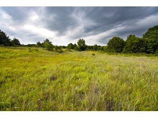 Property photo 4 - COURT ORDERED GARVIN COUNTY LAND AUCTION - 153+/- ACRES, OFFERED IN 4 TRACTS - LINDSAY, OK