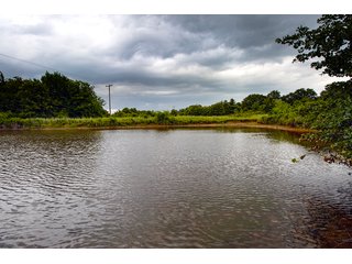 Property photo 5 - COURT ORDERED GARVIN COUNTY LAND AUCTION - 153+/- ACRES, OFFERED IN 4 TRACTS - LINDSAY, OK