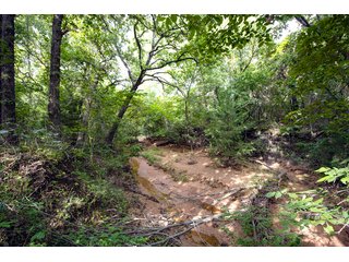 Property photo 6 - COURT ORDERED GARVIN COUNTY LAND AUCTION - 153+/- ACRES, OFFERED IN 4 TRACTS - LINDSAY, OK