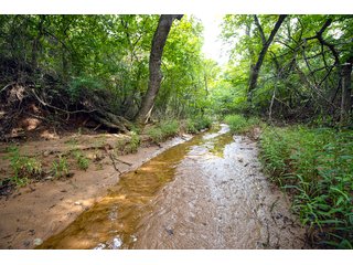 Property photo 8 - COURT ORDERED GARVIN COUNTY LAND AUCTION - 153+/- ACRES, OFFERED IN 4 TRACTS - LINDSAY, OK
