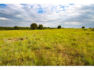Property photo 10 - COURT ORDERED GARVIN COUNTY LAND AUCTION - 153+/- ACRES, OFFERED IN 4 TRACTS - LINDSAY, OK