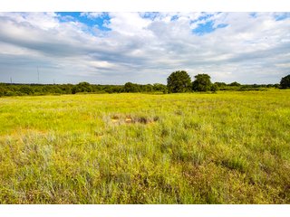 Property photo 11 - COURT ORDERED GARVIN COUNTY LAND AUCTION - 153+/- ACRES, OFFERED IN 4 TRACTS - LINDSAY, OK