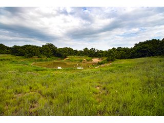Property photo 13 - COURT ORDERED GARVIN COUNTY LAND AUCTION - 153+/- ACRES, OFFERED IN 4 TRACTS - LINDSAY, OK