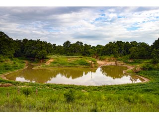 Property photo 15 - COURT ORDERED GARVIN COUNTY LAND AUCTION - 153+/- ACRES, OFFERED IN 4 TRACTS - LINDSAY, OK