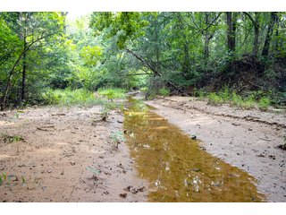 Property photo 1 - COURT ORDERED GARVIN COUNTY LAND AUCTION - 153+/- ACRES, OFFERED IN 4 TRACTS - LINDSAY, OK