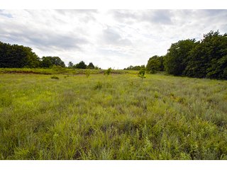 Property photo 18 - COURT ORDERED GARVIN COUNTY LAND AUCTION - 153+/- ACRES, OFFERED IN 4 TRACTS - LINDSAY, OK