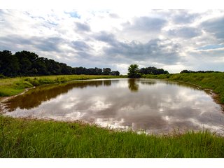 Property photo 19 - COURT ORDERED GARVIN COUNTY LAND AUCTION - 153+/- ACRES, OFFERED IN 4 TRACTS - LINDSAY, OK