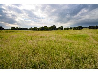 Property photo 20 - COURT ORDERED GARVIN COUNTY LAND AUCTION - 153+/- ACRES, OFFERED IN 4 TRACTS - LINDSAY, OK