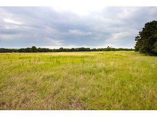 Property photo 21 - COURT ORDERED GARVIN COUNTY LAND AUCTION - 153+/- ACRES, OFFERED IN 4 TRACTS - LINDSAY, OK