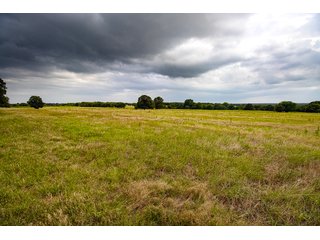 Property photo 22 - COURT ORDERED GARVIN COUNTY LAND AUCTION - 153+/- ACRES, OFFERED IN 4 TRACTS - LINDSAY, OK