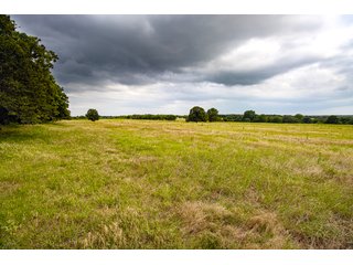 Property photo 23 - COURT ORDERED GARVIN COUNTY LAND AUCTION - 153+/- ACRES, OFFERED IN 4 TRACTS - LINDSAY, OK