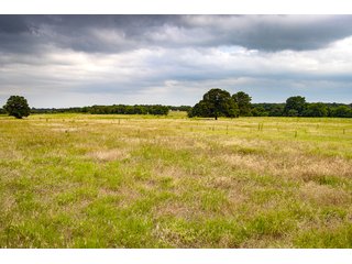 Property photo 24 - COURT ORDERED GARVIN COUNTY LAND AUCTION - 153+/- ACRES, OFFERED IN 4 TRACTS - LINDSAY, OK