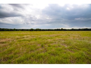 Property photo 25 - COURT ORDERED GARVIN COUNTY LAND AUCTION - 153+/- ACRES, OFFERED IN 4 TRACTS - LINDSAY, OK
