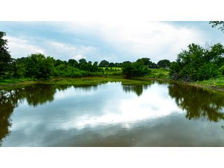 Property photo 27 - COURT ORDERED GARVIN COUNTY LAND AUCTION - 153+/- ACRES, OFFERED IN 4 TRACTS - LINDSAY, OK
