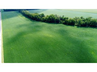 Property photo 2 - LAND AUCTION - 185+/- ACRES OFFERED IN 3 TRACTS IN MONTGOMERY COUNTY, INDIANA