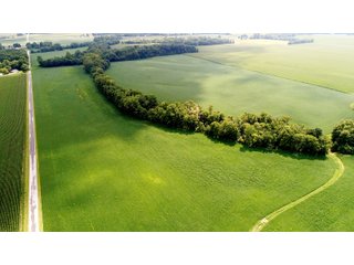 Property photo 15 - LAND AUCTION - 185+/- ACRES OFFERED IN 3 TRACTS IN MONTGOMERY COUNTY, INDIANA