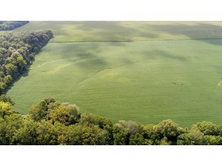 Property photo 14 - LAND AUCTION - 185+/- ACRES OFFERED IN 3 TRACTS IN MONTGOMERY COUNTY, INDIANA