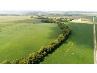Property photo 13 - LAND AUCTION - 185+/- ACRES OFFERED IN 3 TRACTS IN MONTGOMERY COUNTY, INDIANA