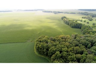 Property photo 3 - LAND AUCTION - 185+/- ACRES OFFERED IN 3 TRACTS IN MONTGOMERY COUNTY, INDIANA