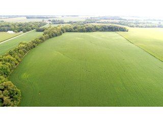 Property photo 1 - LAND AUCTION - 185+/- ACRES OFFERED IN 3 TRACTS IN MONTGOMERY COUNTY, INDIANA