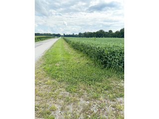 Property photo 10 - LAND AUCTION - 185+/- ACRES OFFERED IN 3 TRACTS IN MONTGOMERY COUNTY, INDIANA