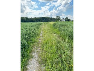 Property photo 8 - LAND AUCTION - 185+/- ACRES OFFERED IN 3 TRACTS IN MONTGOMERY COUNTY, INDIANA
