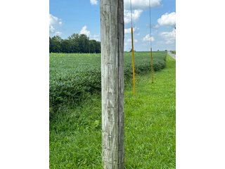 Property photo 6 - LAND AUCTION - 185+/- ACRES OFFERED IN 3 TRACTS IN MONTGOMERY COUNTY, INDIANA